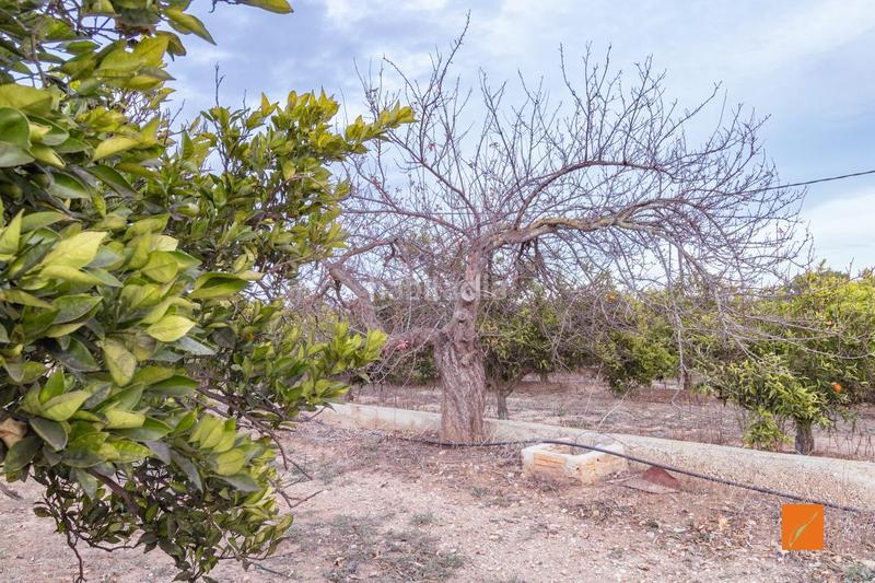 Foto 1da65a4b-21ae-4979-b702-cf5bd0121a05. Masia amb aparcament a Masdenverge