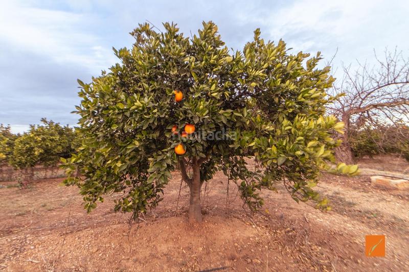 Foto 442bb9e4-0639-49d9-b6e6-4859a362737d. Masia amb aparcament a Masdenverge