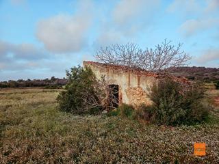 Finca rústica a Ulldecona. Finca rústica en venta en ulldecona tarragona