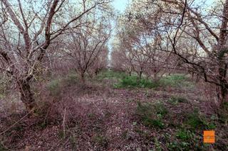 Masia a Masdenverge. Finca con caseta en venta en masdenverge tarragona