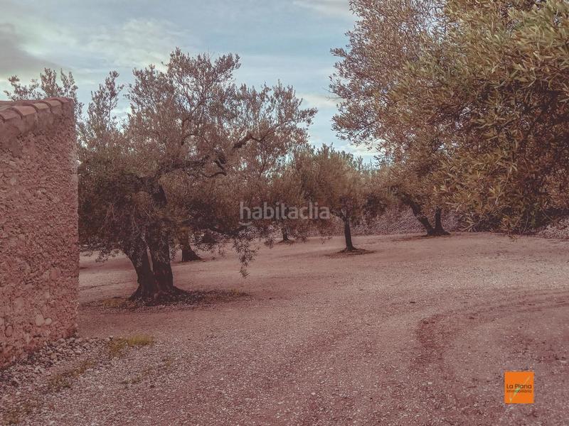 Foto 4b7ab590-15b8-42b4-9f09-7e189dc47ccc. Masía finca rustica con caseta en venta en santa barbara tarragona en Santa Bàrbara