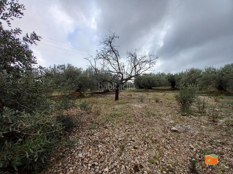 Foto 00f2a092-f7e2-408a-a890-3e70a86fb0d3. Propriété dans Alcanar