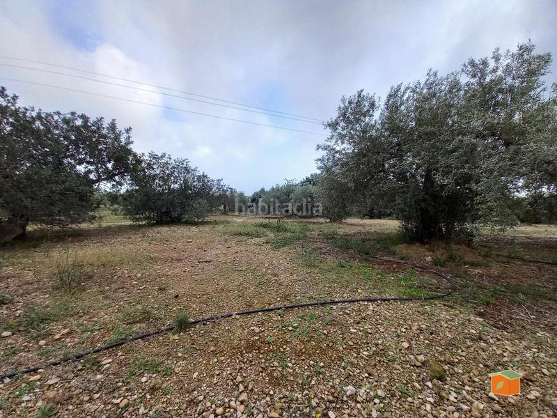 Foto 0c239cc0-9dbb-4e78-9a34-af1cd449b54d. Propriété dans Alcanar