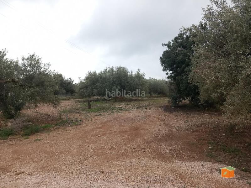 Foto 16e2553d-1012-48c1-a5f2-a28010abc73f. Propriété dans Alcanar