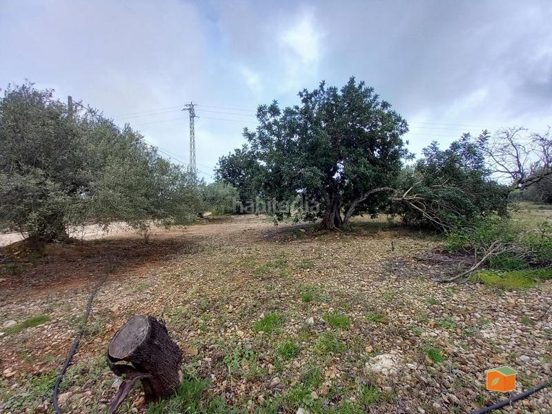 Foto 4f4784f1-b8ea-4cbb-900e-c2bbfba7eb9c. Propriété dans Alcanar