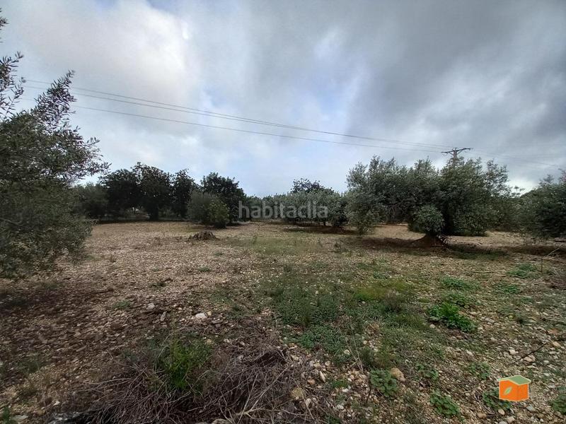 Foto 5d832a24-61ea-42a2-936d-cb9bfecbb36b. Propriété dans Alcanar