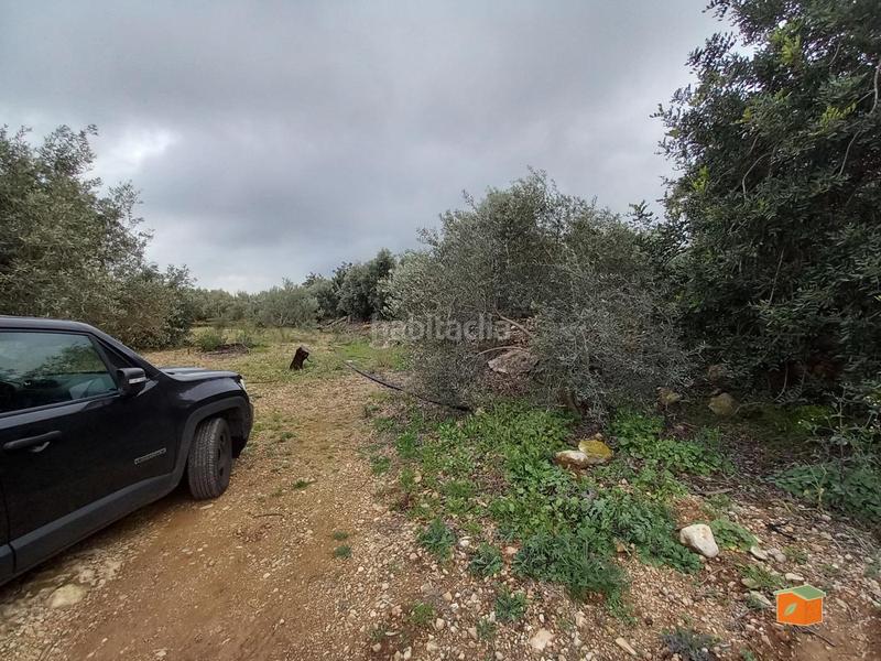 Foto 649dfe73-ef96-4d59-9acc-00f2952cf88c. Propriété dans Alcanar