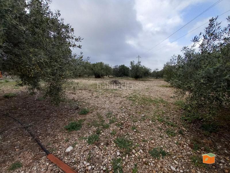 Foto 8e799d1d-ccfd-4a27-8f4d-4ccdaf899907. Propriété dans Alcanar