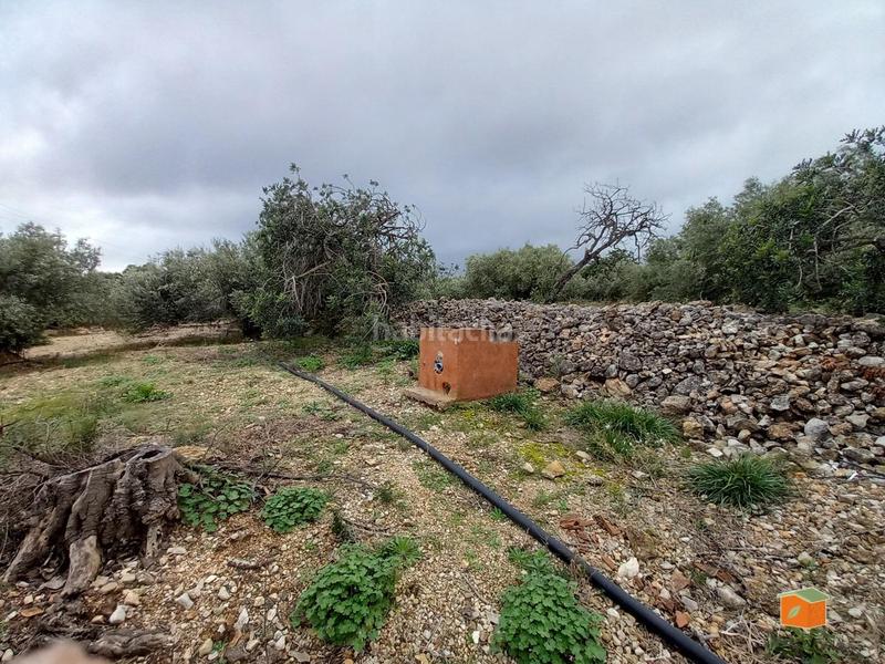 Foto b4b80070-d3b5-41b2-9045-c709757315a2. Propriété dans Alcanar