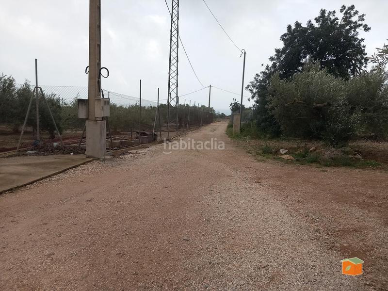 Foto e89e58b0-72d5-473d-8c7d-539e8c7a69e1. Propriété dans Alcanar