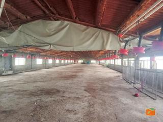 Local Comercial a Santa Bàrbara. Granja de pavos en venta en santa barbara tarragona