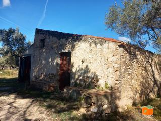 Rural plot in Mas de Barberans. Finca rustica con dos casas en venta en mas de barberans tarrago