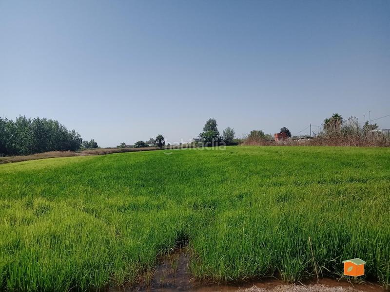 Foto 305cdaaf-6894-4ec3-839c-50405ab43dd3. Casale in Sant Jaume d´Enveja