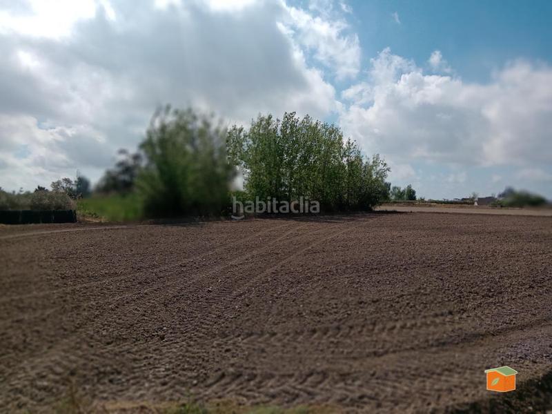 Foto f53e04a1-5c7f-4113-a6bc-3a6e32fcd7ce. Casale in Sant Jaume d´Enveja