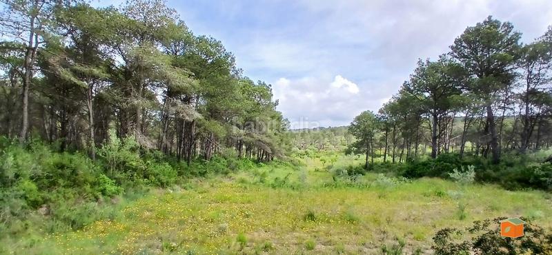 Foto 114b950c-9e5b-4ffb-899c-2f717c49acca. Masia amb calefacció aparcament piscina a Perelló (El)