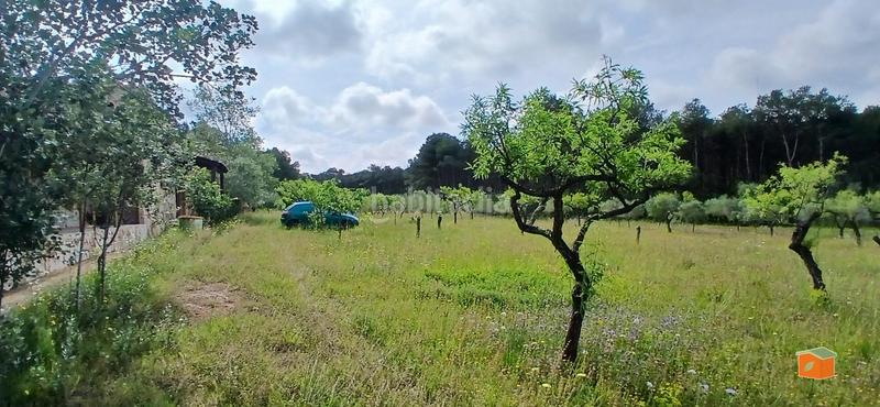 Foto 16801d71-4292-418b-81ee-b71a66cc89e5. Masia amb calefacció aparcament piscina a Perelló (El)