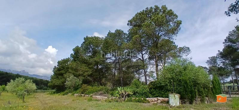 Foto 28d5ae8b-59f9-4aa3-84e7-0fa438a2d87f. Masia amb calefacció aparcament piscina a Perelló (El)