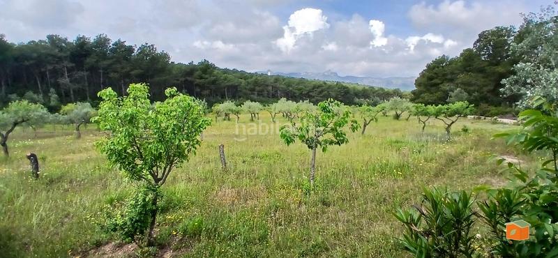 Foto 2a2371ce-82f8-4cc4-93f7-6ad12c8ce59e. Masia amb calefacció aparcament piscina a Perelló (El)