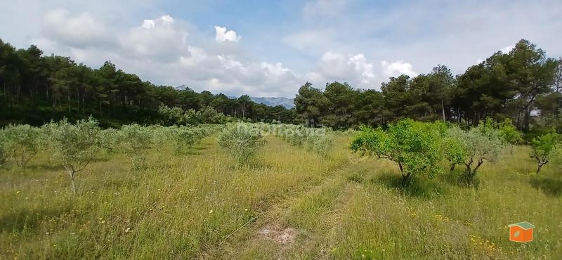 Foto 3759c2dc-ff41-4dc8-9642-cb2fab97c893. Masia amb calefacció aparcament piscina a Perelló (El)