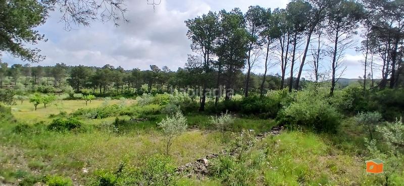 Foto 4036c045-05a4-409c-9662-8eb495d2343e. Masia amb calefacció aparcament piscina a Perelló (El)