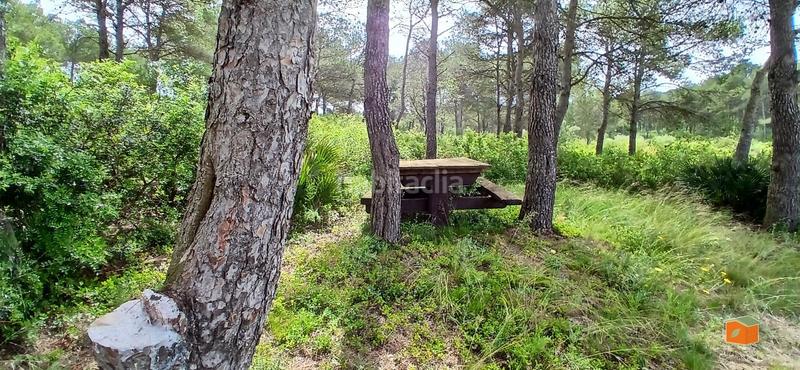 Foto 814c1b79-587e-4df7-bc37-aed22cf111c0. Masia amb calefacció aparcament piscina a Perelló (El)