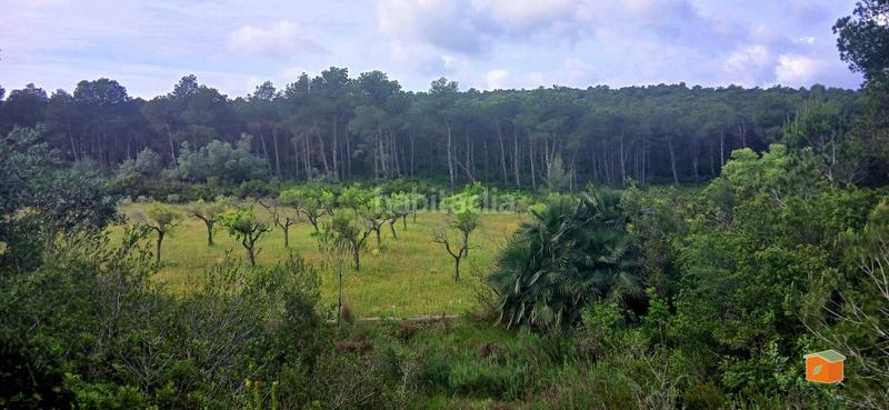 Foto a9a14557-1c4f-436e-ba18-5443ec8104db. Masia amb calefacció aparcament piscina a Perelló (El)