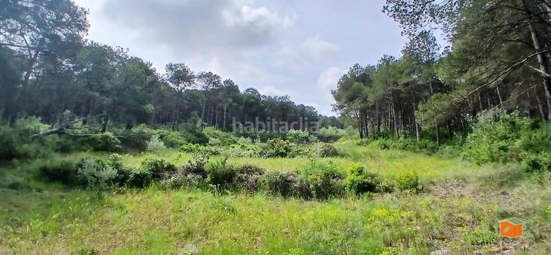 Foto bb3e1b53-39e6-45c9-af49-cb8242c0be7f. Masia amb calefacció aparcament piscina a Perelló (El)