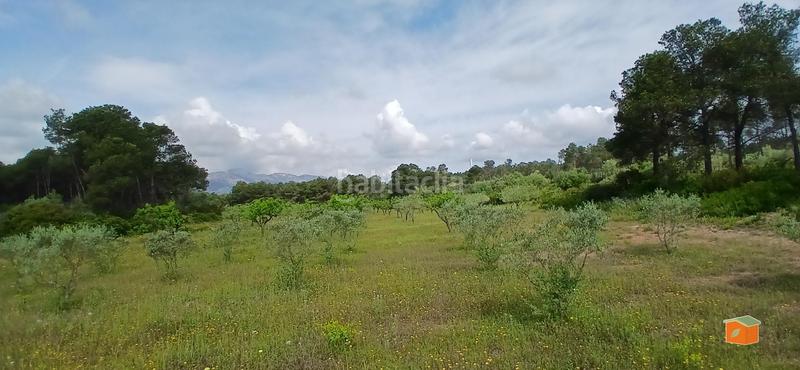 Foto bd0ab994-a89e-467e-aa5f-c8bc447ffc30. Masia amb calefacció aparcament piscina a Perelló (El)