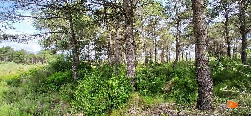 Foto c36d6901-cea1-4083-8513-41701500457a. Masia amb calefacció aparcament piscina a Perelló (El)