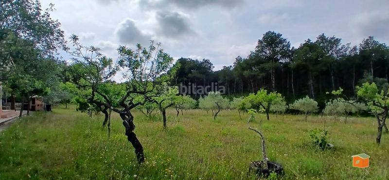 Foto ce11a976-1cf9-4cf7-b41c-9cdb3e24f026. Masia amb calefacció aparcament piscina a Perelló (El)