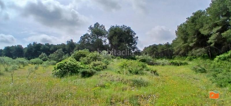 Foto eb732267-9ddf-4704-b341-392d89a3a5f8. Masia amb calefacció aparcament piscina a Perelló (El)