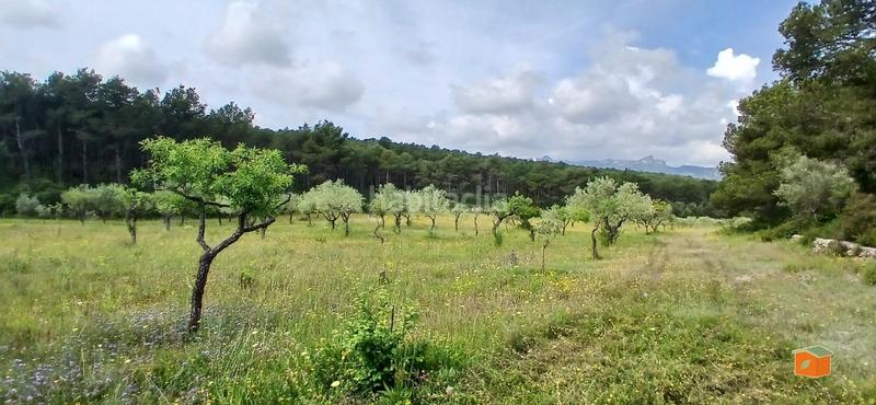 Foto ec4faca5-161d-438e-a18a-68490b40854e. Masia amb calefacció aparcament piscina a Perelló (El)