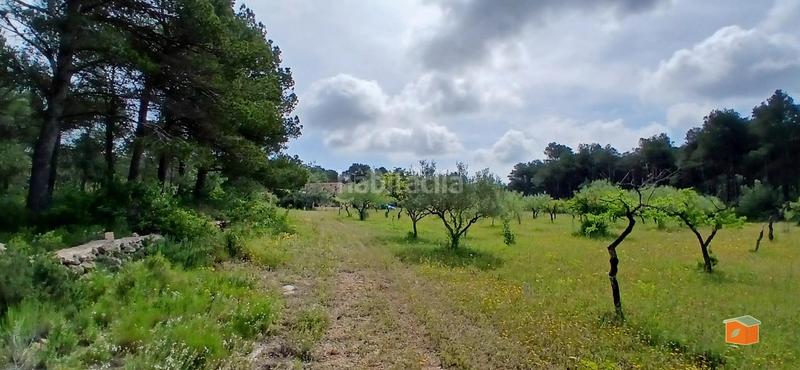 Foto efa11246-0821-4997-a01d-2eaa0ecc2267. Masia amb calefacció aparcament piscina a Perelló (El)