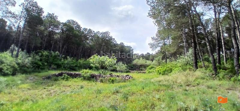 Foto f4af6ca6-d272-41e7-b365-fde872e03ced. Masia amb calefacció aparcament piscina a Perelló (El)