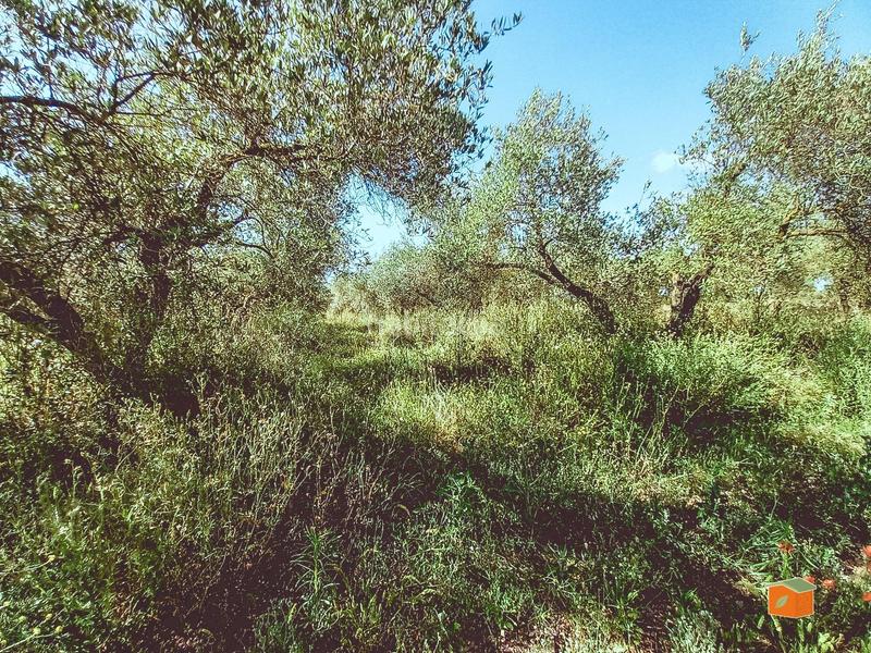 Foto 06cee627-4d4c-4727-853a-88944fe94ae9. Masía casa rustica con terreno en venta tarragona en Godall