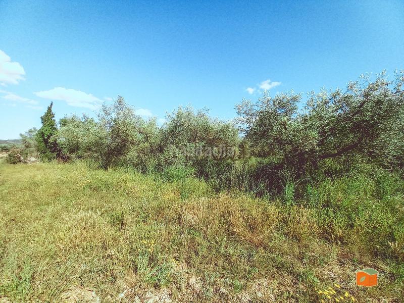Foto 76310e90-209c-409e-855c-941ad07a9eb6. Masía casa rustica con terreno en venta tarragona en Godall