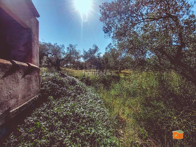 Foto df3dd111-b077-4a09-aa6f-dda363cea463. Masía casa rustica con terreno en venta tarragona en Godall