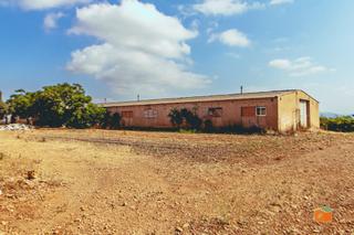 Masia a Masdenverge. Finca rustica con casa y granjas en venta en masdenverge tarrago