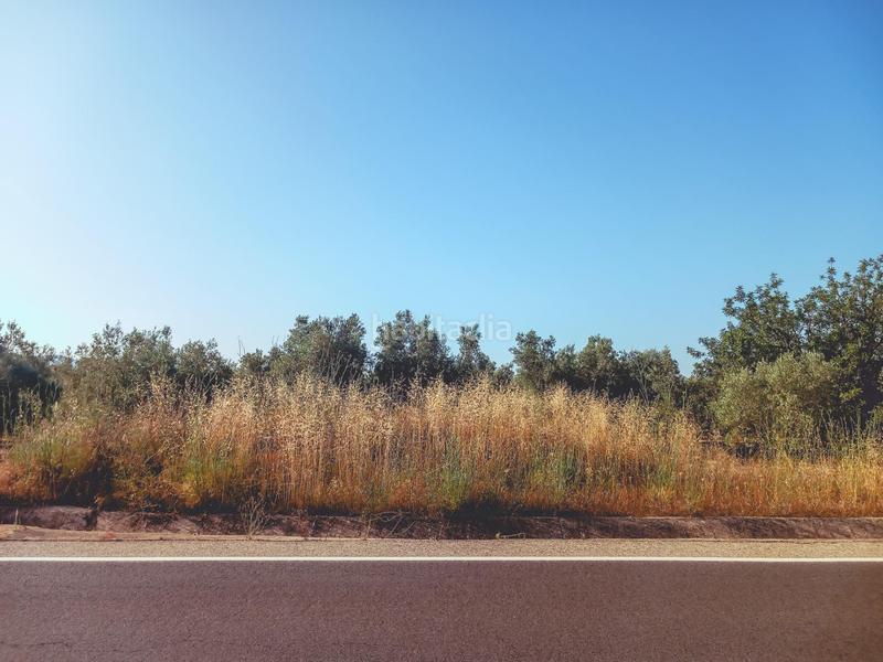 Foto 1a091693-49e1-41ad-a596-6b885f74afa0. Propriété dans Ulldecona