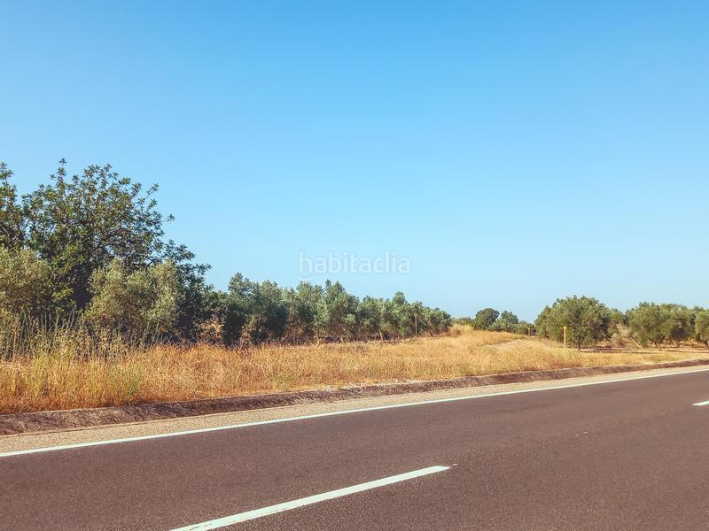 Foto 241e577e-7353-4961-ad4a-302b7626ee8a. Propriété dans Ulldecona