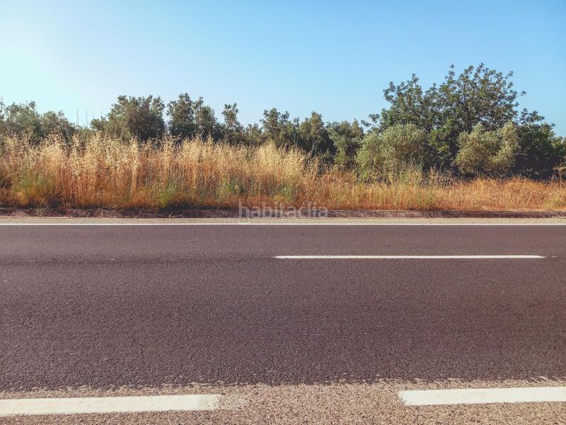 Foto d40cdd67-f0aa-4c0f-a138-674d168cdc4d. Propriété dans Ulldecona