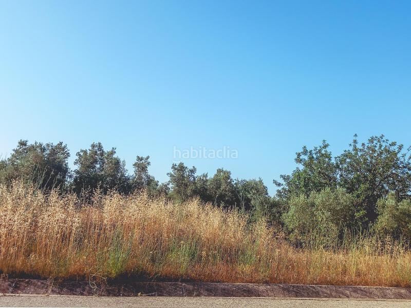 Foto de735cc8-a880-4800-bbc0-c6eadd42b887. Propriété dans Ulldecona