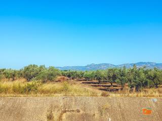Finca rústica a Ulldecona. Finca rustica en venta en ulldecona tarragona