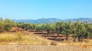 Rural plot in Galera (La). Finca rustica en venta en la galera tarragona