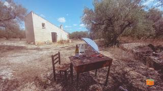 Mas à Ulldecona. Finca rustica con caseta en venta en ulldecona tarragona