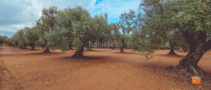 Foto 0b08f395-9d8a-49c8-89d7-e4d16f56a197. Bauernhof mit pool in Godall