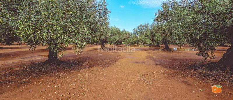 Foto 807c6260-535c-4302-a9f0-b2cffb6a63a2. Bauernhof mit pool in Godall