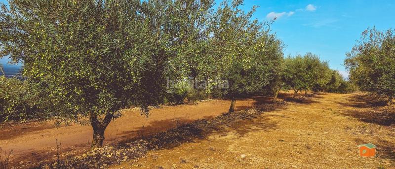 Foto 8d81df1d-dc66-463f-9a3c-74d5af19eb20. Bauernhof mit pool in Godall