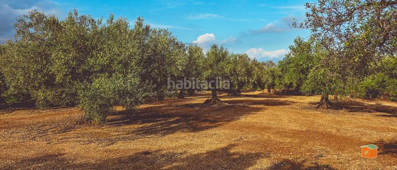 Foto 98847c99-3cdd-46e9-83b5-769d8491ab47. Bauernhof mit pool in Godall