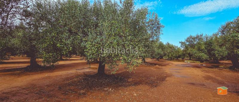 Foto 98f3248e-f8fd-4760-a83e-b46afda899bf. Bauernhof mit pool in Godall